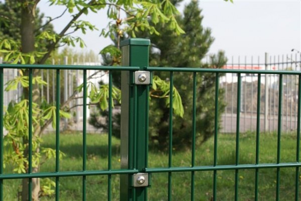 Doppelstabmatten Höhe 1,63m x B 2,50m grün